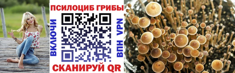 omg   Наро-Фоминск  Псилоцибиновые грибы прущие грибы 